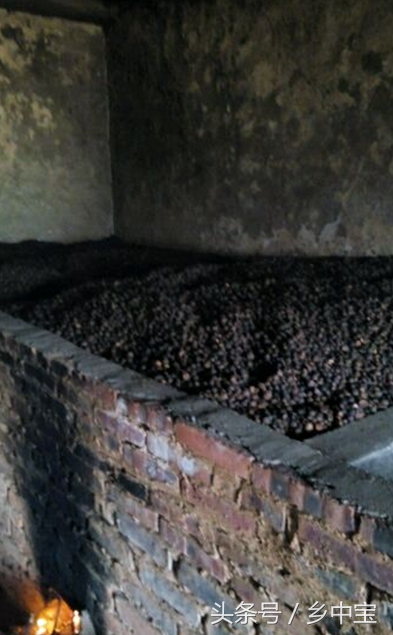 古老压榨山茶油,纯天然古法手工压榨山茶油