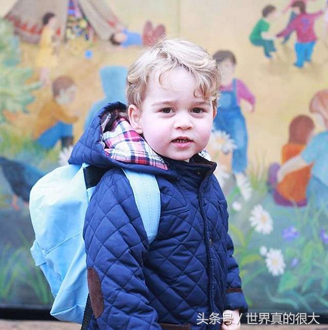 世上最萌小王子备受非议，只因他收了1.8万英镑的牧羊人小屋