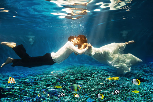 珊瑚缸如何补钙,珊瑚海缸日常维护