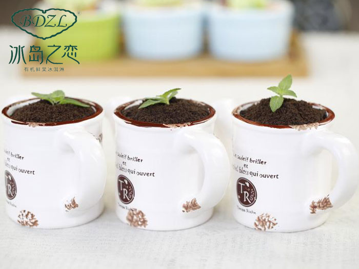 冰岛之恋意大利风味冰淇淋,冰岛之恋奶茶店加盟电话