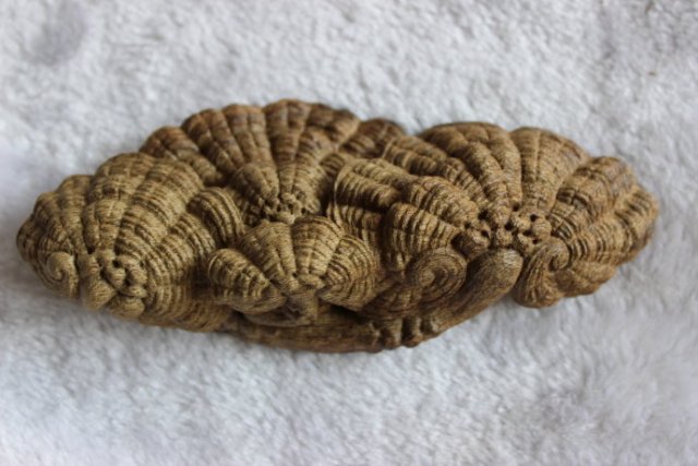 古代人的奇葩,古代人奇葩的炫富