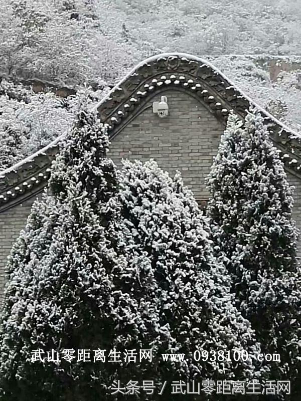 武山唯美雪景，一眼看到的不是寒冷，而是陶醉（图文/周海燕）