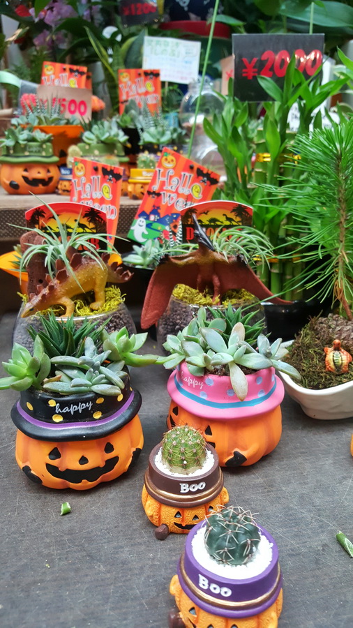 不得不去的景点大全,不得不去的城市