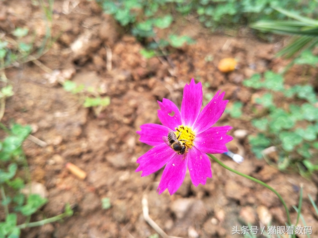 oppor9s现在还值不值得买,oppor9s的游戏体验