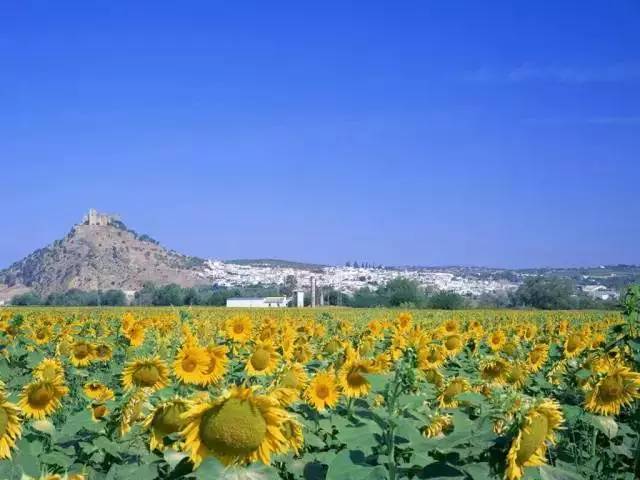 在临沂买一室一厅的房子多少钱,80万在临沂能买到什么房子