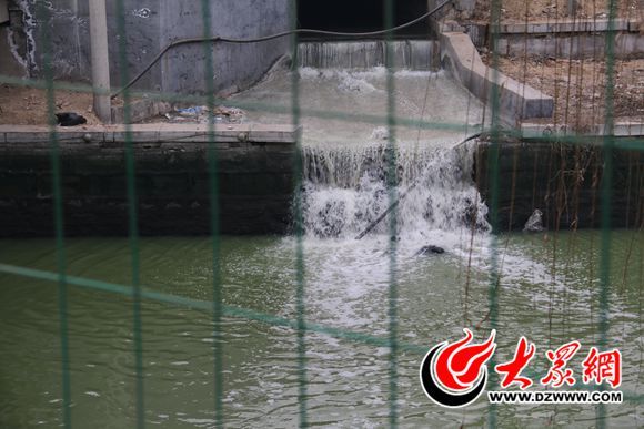 山东洙水河航道升级改造,菏泽洙水河景观提升