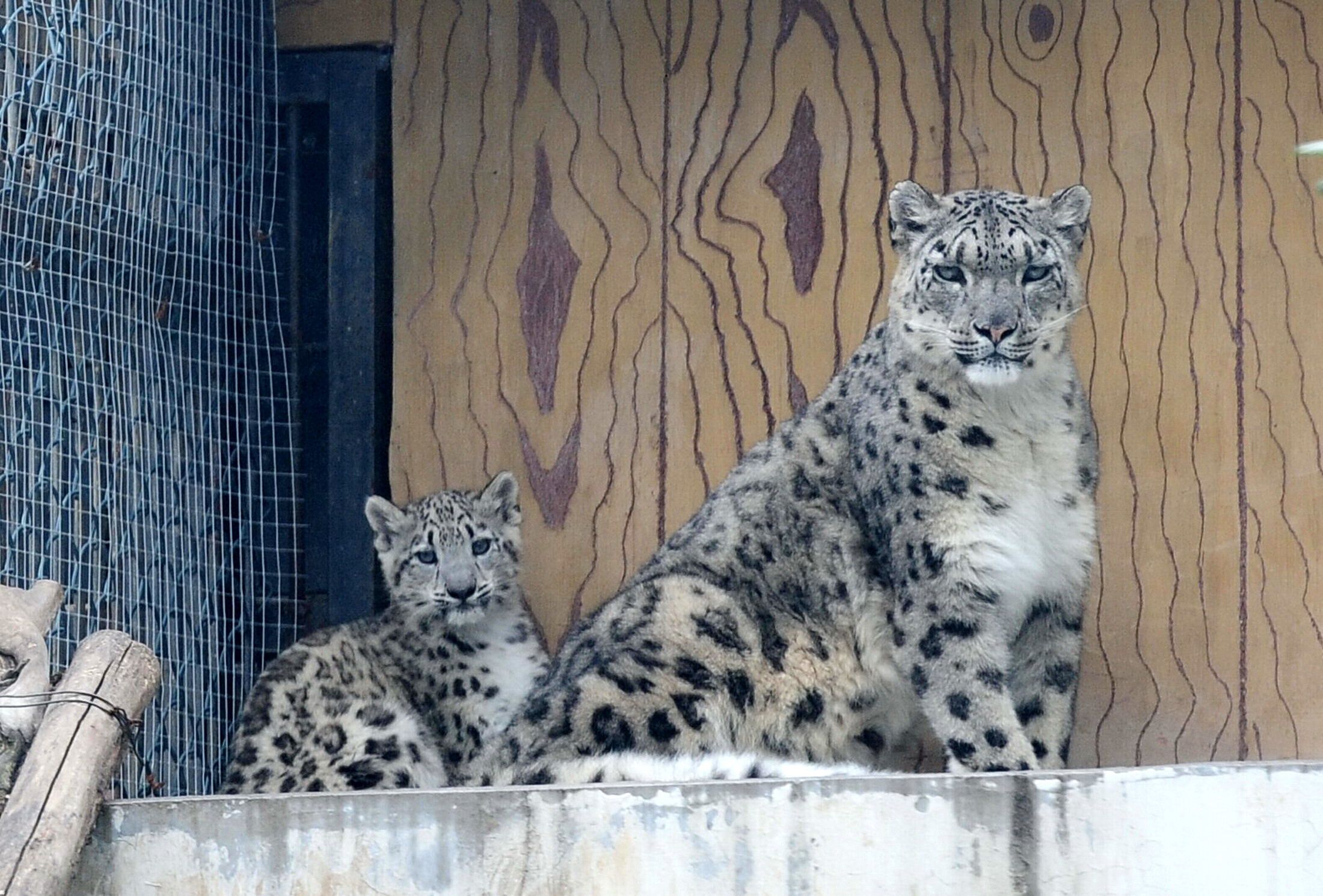 新华社签约摄影师,新华社2019十佳签约摄影师