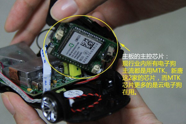 一张图看懂狗的智力,几张图看完狗的一生