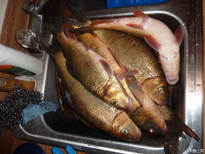 十全武功秘籍,十全大补汤钓鱼