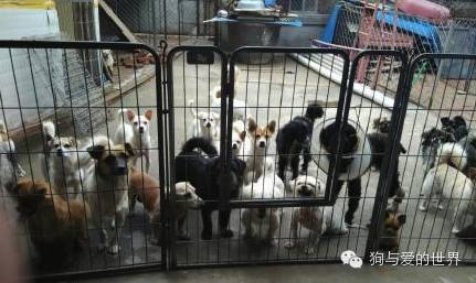 他们是最可爱的人作文700字 (他们是最可爱的人英语)