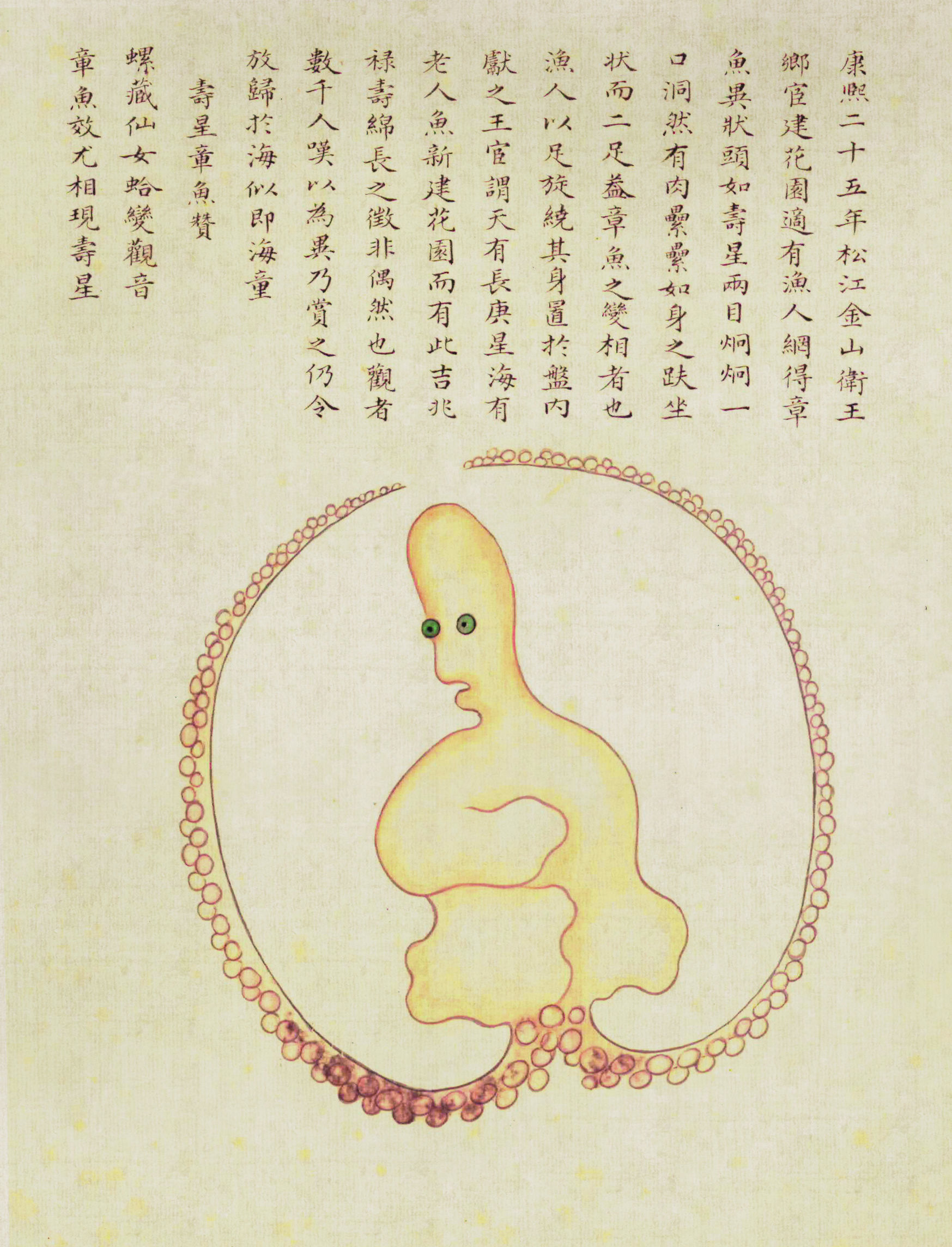 大章鱼产生基因,大章鱼生小章鱼卵