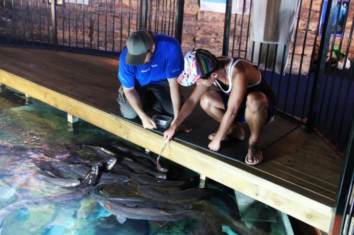 Hokitika的小城日记