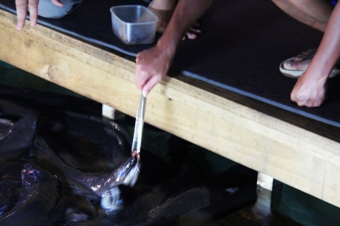 Hokitika的小城日记