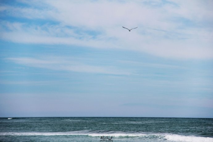 Hokitika的小城日记