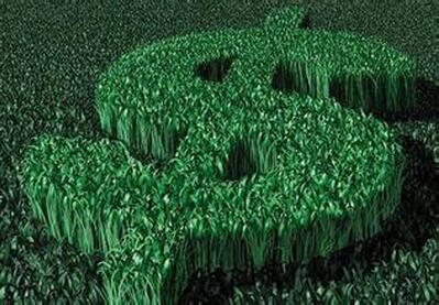 农民回家乡创业,走回农村老家