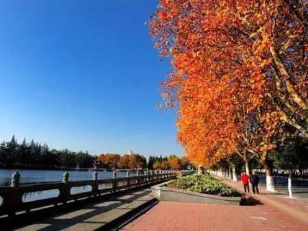 OMG！“鸡爪女”又在地铁12号线上吃起了麻辣烫！