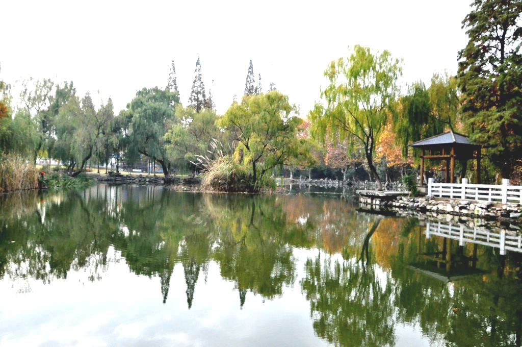 OMG！“鸡爪女”又在地铁12号线上吃起了麻辣烫！