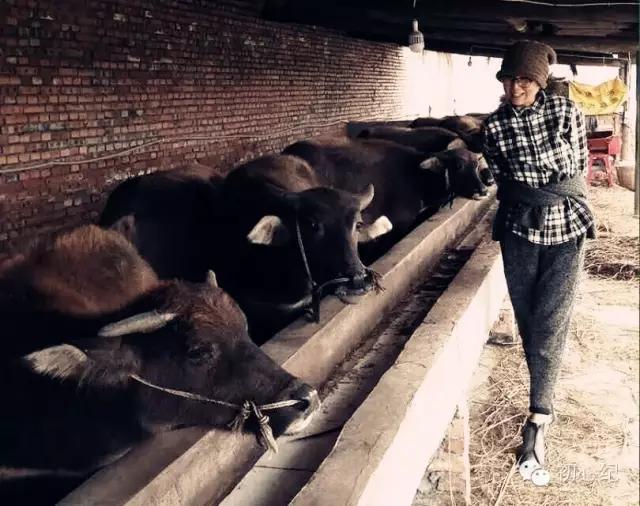 有一座慢待时光的农场，在四季牧歌里吟唱！