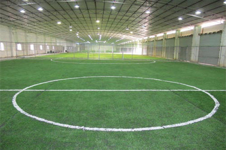 足球疯狂球迷视频,足球狂热球迷进场