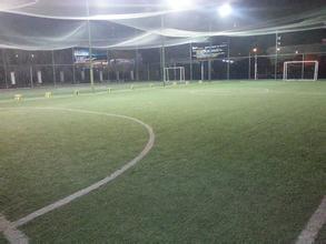 足球疯狂球迷视频,足球狂热球迷进场