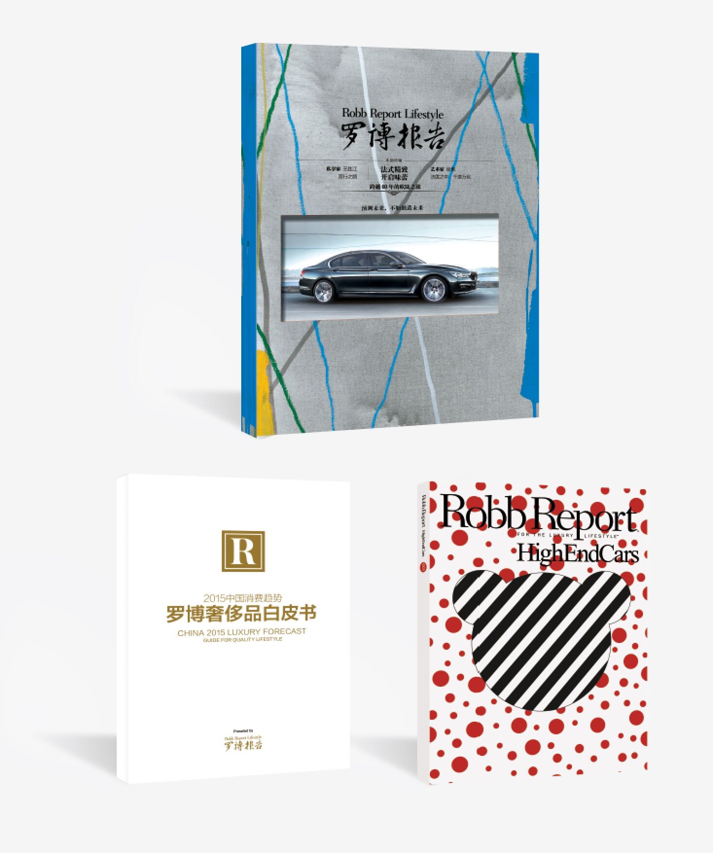 罗博报告表,罗博报告内容