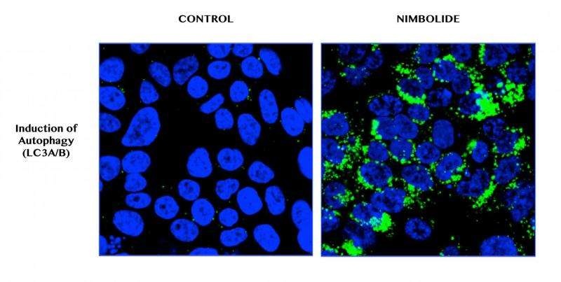 印度胰腺癌抗癌药物特罗凯,印度楝的功效