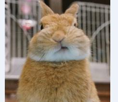 搞笑奇葩囧图趣图,内涵囧图逗你爆笑一整天