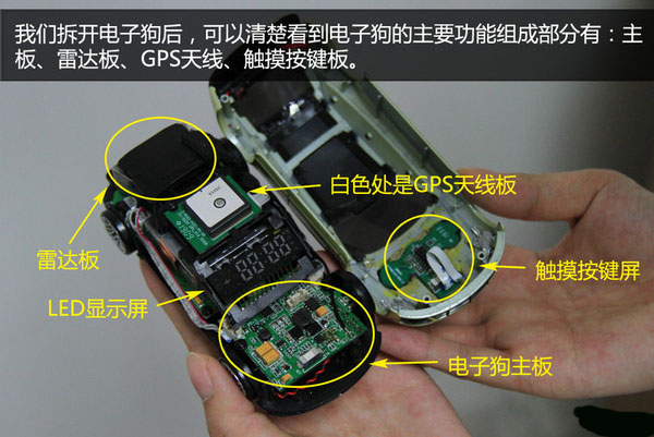 一张图看懂狗的智力,几张图看完狗的一生