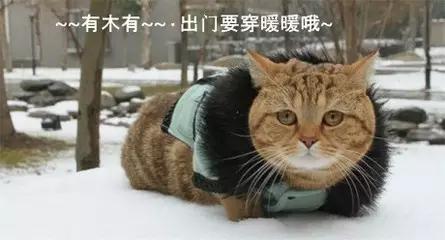 户外出行八大技巧,户外出行十大技巧