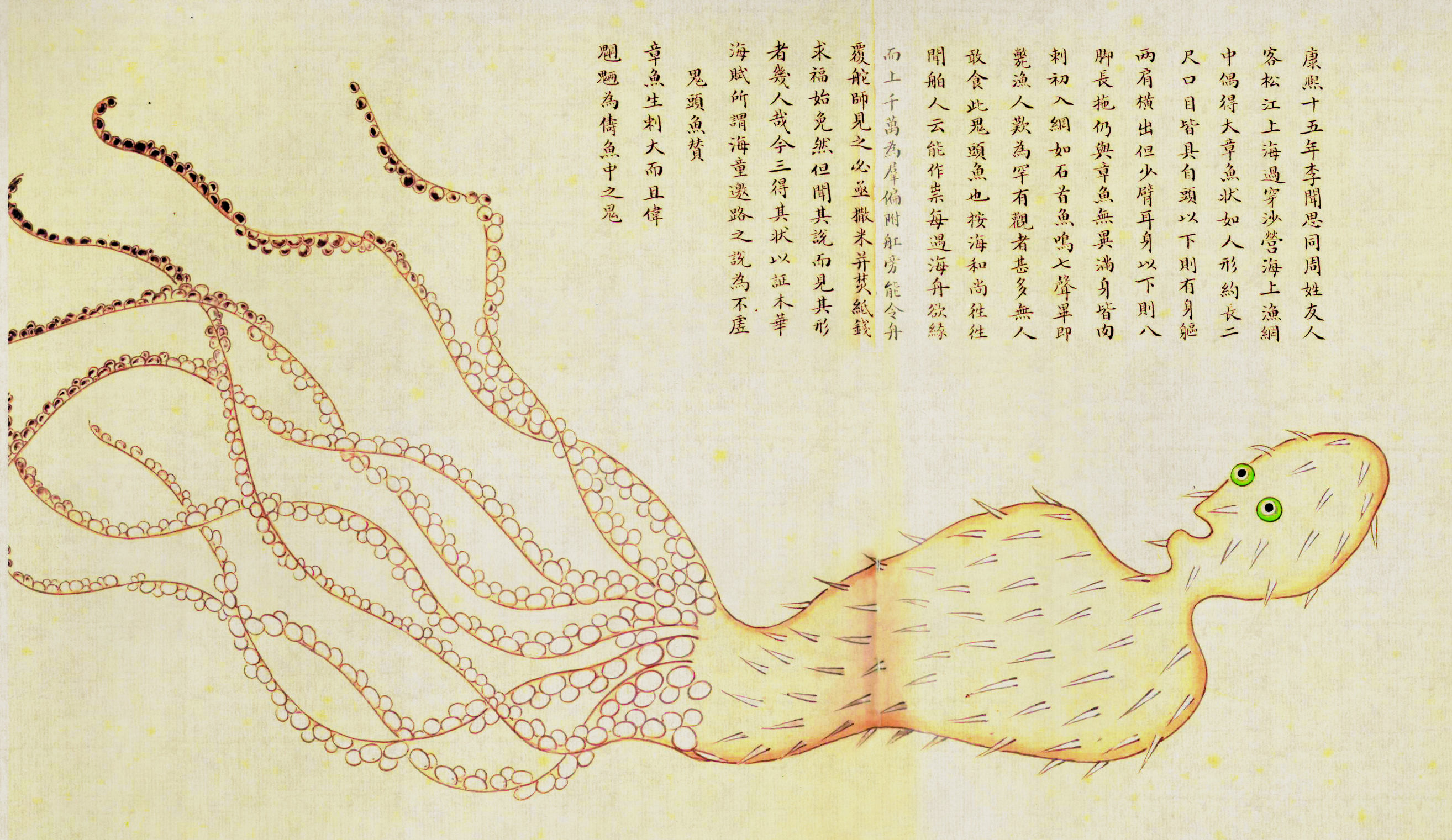 大章鱼产生基因,大章鱼生小章鱼卵