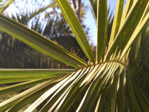 小米手机红米3价格,小米3和红米增强版