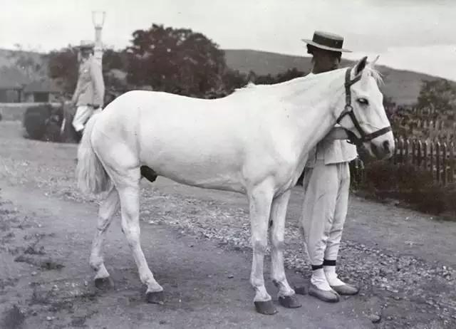 山东威海的城市面貌,旧威海照片