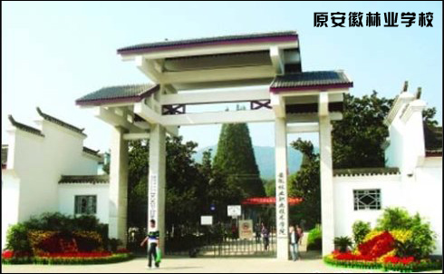 安徽省的爱国名将事迹有哪些,安徽历史上的爱国将领