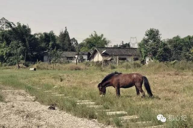 有一座慢待时光的农场，在四季牧歌里吟唱！