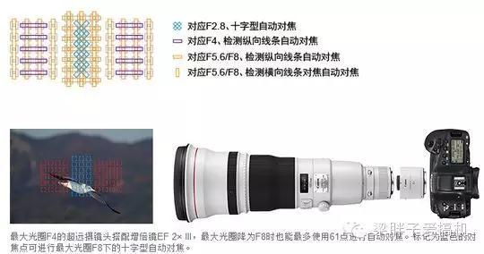 eos-1dxmarkiii高感,eos-1dxmarkiii与r3