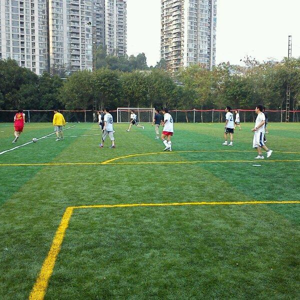 足球疯狂球迷视频,足球狂热球迷进场