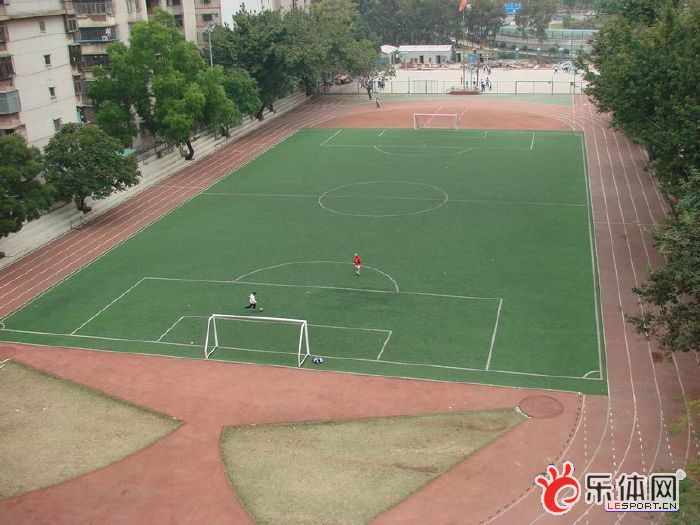 足球疯狂球迷视频,足球狂热球迷进场