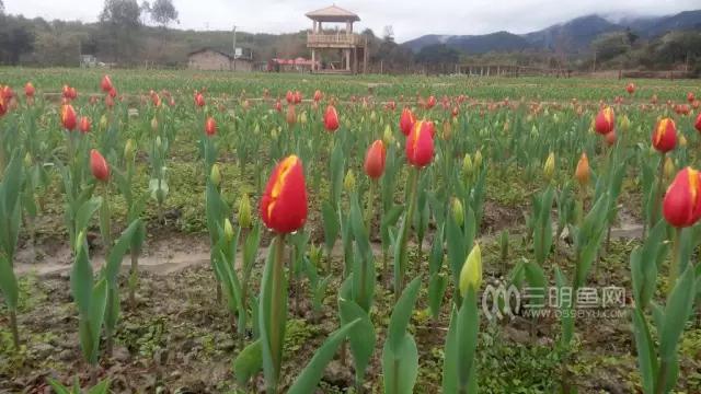 三明买货,三明同城购物