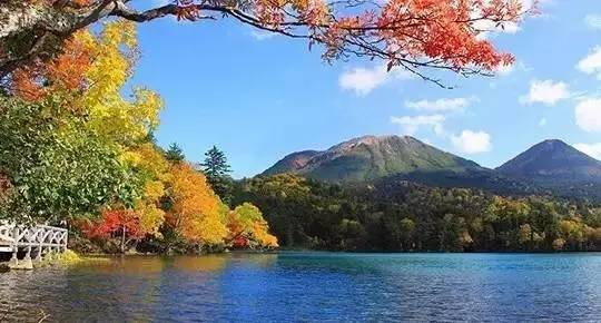 天平山的枫叶有几种,天平山枫叶什么时候变红