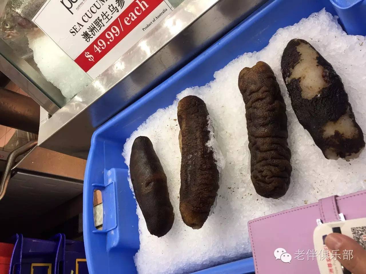 老伴自驾游好不好,6旬夫妻游欧洲