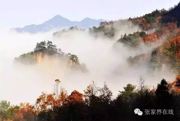 影像张家界季节篇：深秋的印记