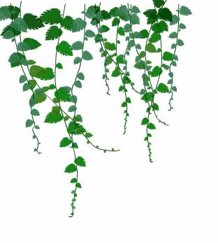 在名校读书的真实体验,在一所很差的中学读书是什么体验