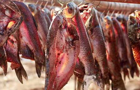 饮食安全不可忽视,关于食品安全的小贴士