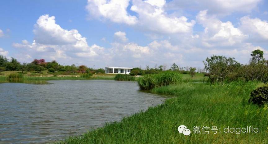 团购高尔夫练习场,高尔夫球优惠活动