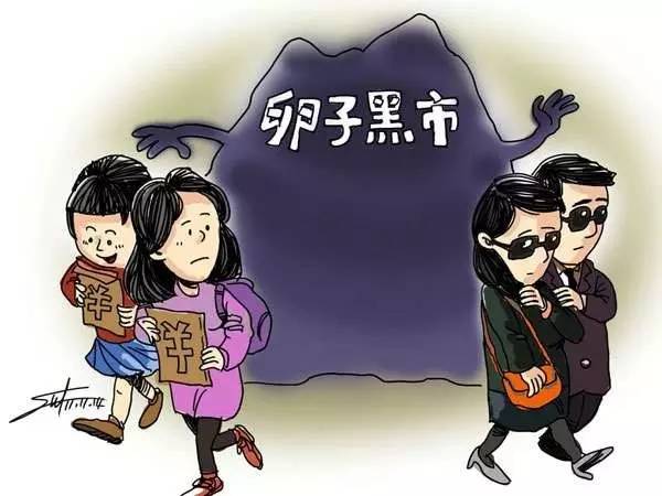 重型运载火箭、卵子*市黑**、海外红色旅游本周热词总结（10.30-11.4）