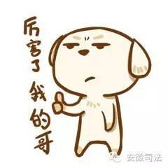 矫正故事“一夜暴富”梦碎后，看农村小伙如何谷底翻身？