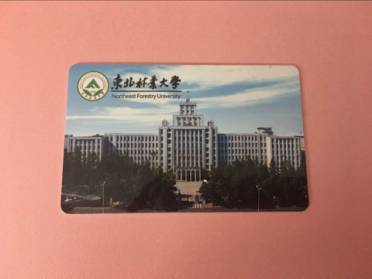 “冬”林安全说