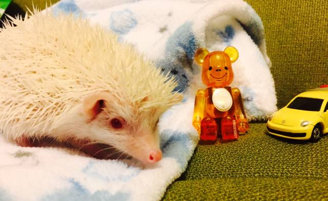 玩家秀梦幻西游,玩家秀创意工坊