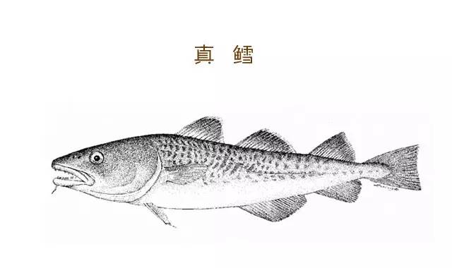 槌曢奔鎬庝箞涔版渶濂藉悆 (鎬庢牱涔伴硶楸兼渶濂藉悆)