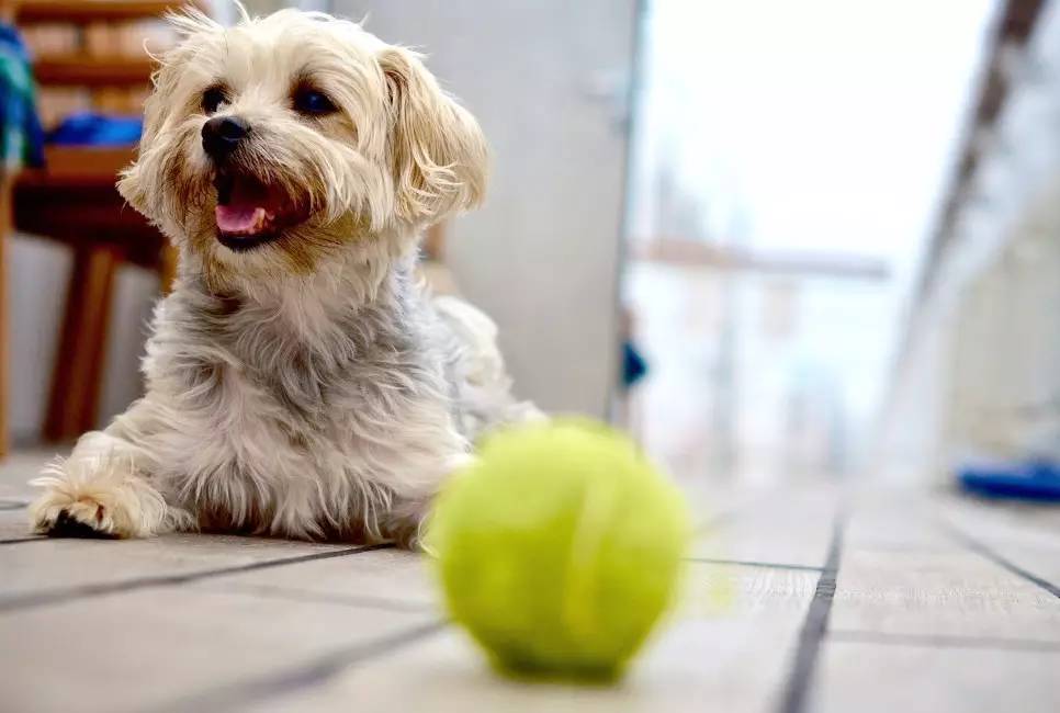 邮轮环球航线海乘,邮轮环球航行